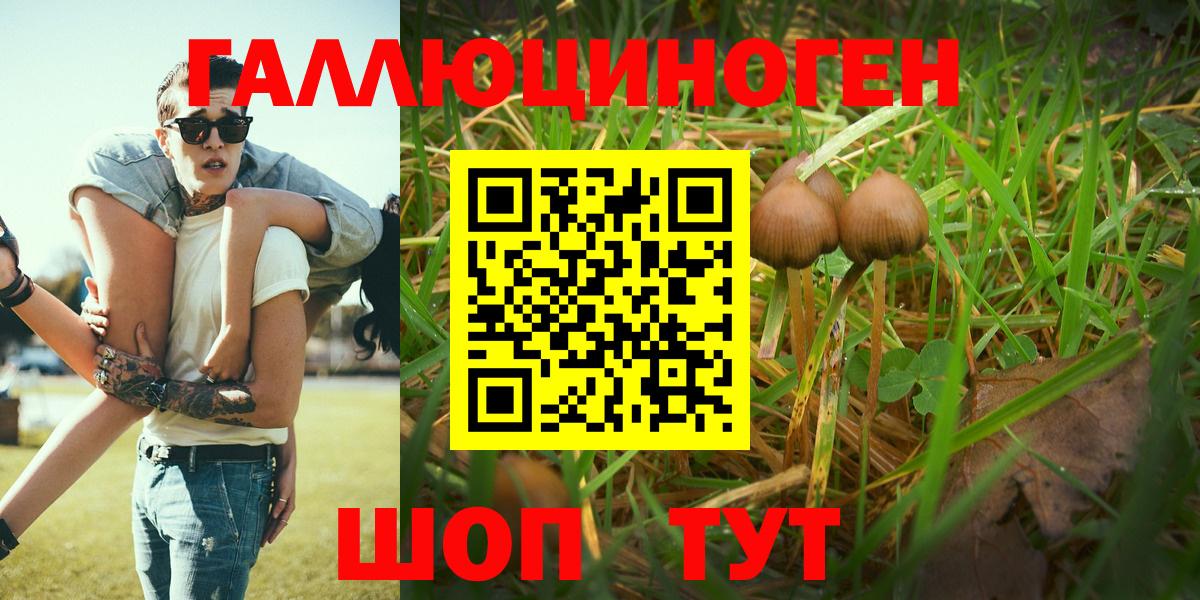 Псилоцибиновые грибы мухоморы  Вход с VPN  Ливны 